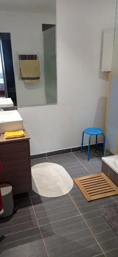 Grand Appartement Independant, 4 Personnes Et Plus, Piscine Et Jardin Direct Gare Aeroport Toulouse Apartmán